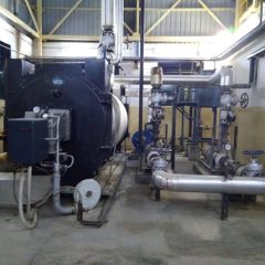 Banas Dairy CS 1
